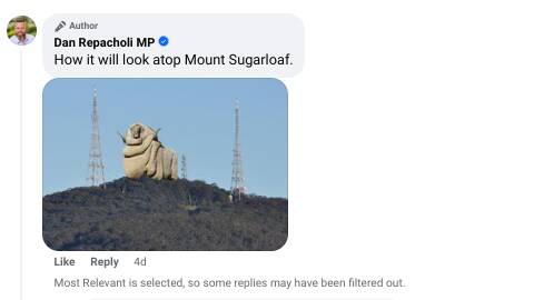A comment on Hunter MP Dan Repacholi's social media post. Picture from Facebook