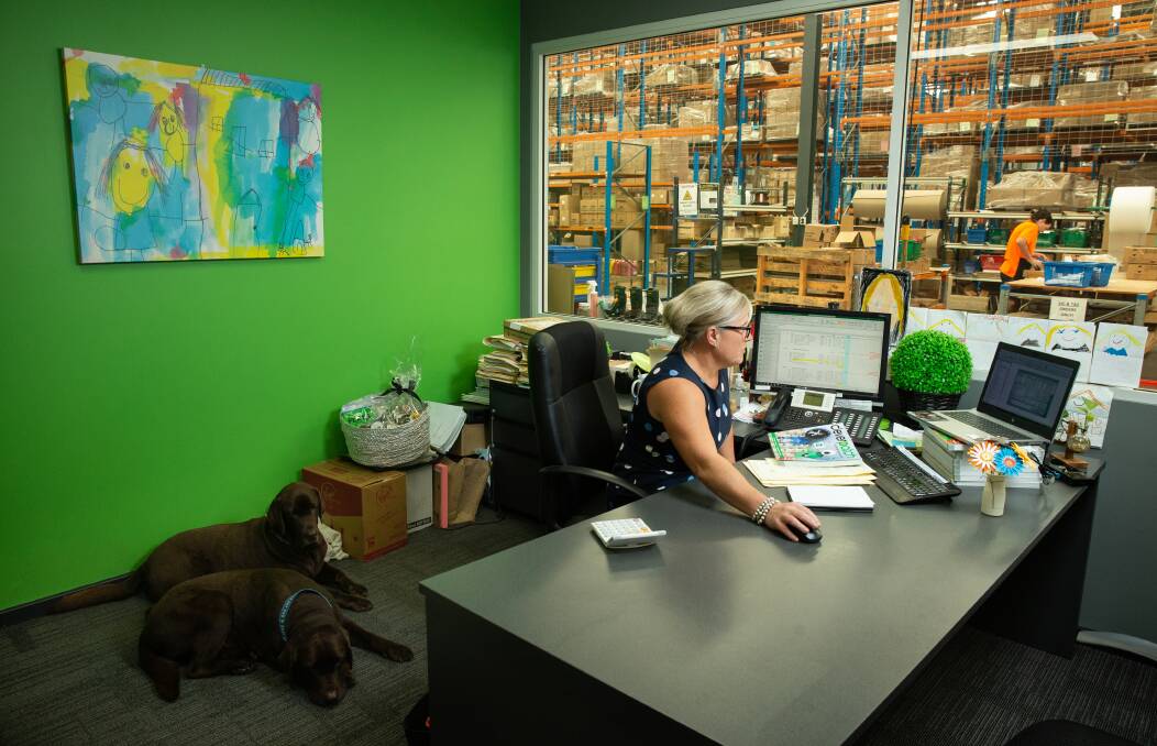 Operations hub: Ainslie Turner in her office, with dogs Bert and Ted keeping her company. Pictures: Marina Neil 