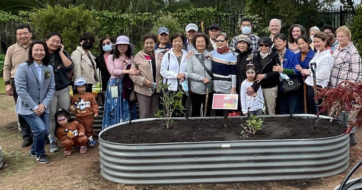 From little things big things grow: The Chinese community garden group meets every second Friday to tend to the garden, socialise and share recipes. 