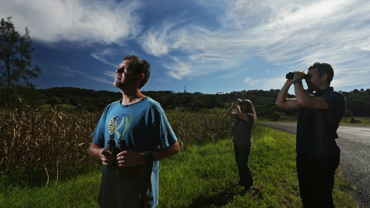  Large numbers of songbirds are calling the Lower Hunter home as they migrate north to Queensland.
