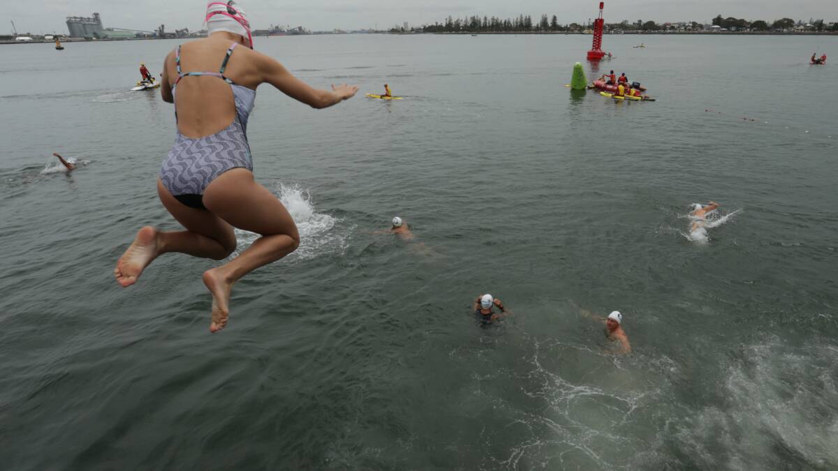 Record numbers tipped for Newcastle harbour swim’s dash for cash