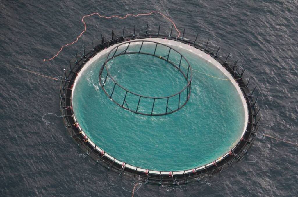 UNDER CONSTRUCTION: One of five fish-farm pens being built off Port Stephens as part of a five-year research trial to harvest yellowtail kingfish.  