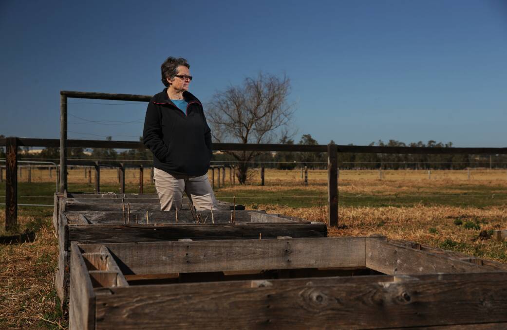DEATH OF A DREAM: Anita Bugges at her Williamtown property last week looking over the raised vegetable gardens she used to tend with her young grandson,Tristian, before the family fled due to contamination. Picture: Simone De Peak