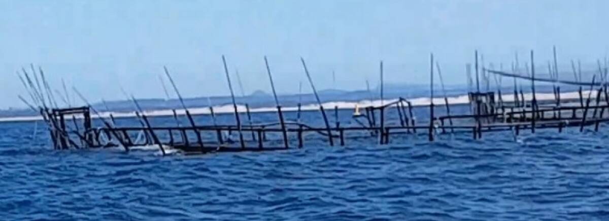 MANGLED: The Huon Aquaculture sea cage, that used to house 20,000 yellowtail kingfish, after it was badly damaged in rough seas from January 14 to 18.