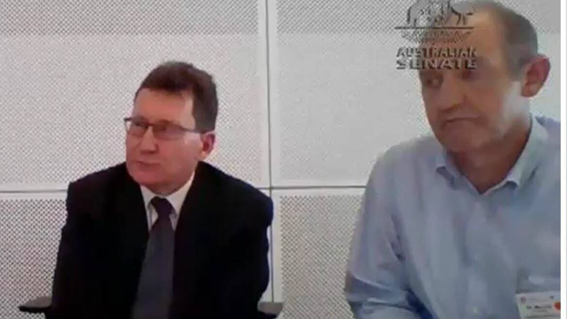 CRY FOR HELP: Newcastle Local Drug Action Team chair Tony Brown, left, and deputy chair Dr Murray Webber giving evidence on Wednesday at a Senate inquiry into effective approaches to prevention, diagnosis and support for Fetal Alcohol Spectrum Disorder (FASD).