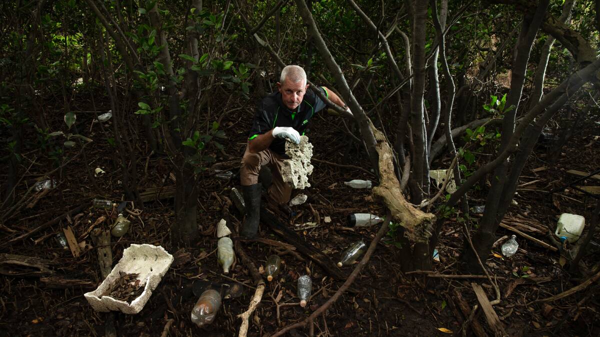 Expert says Hunter River mangrove pollution is the worst he's seen in 10 years cleaning up waterways in Australia and Indonesia. 