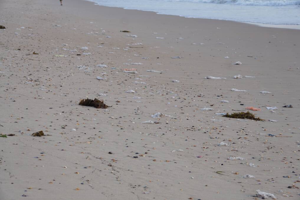 UGLY: Plastic strewn along a section of Stockton Beach.