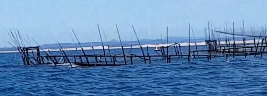 MANGLED: The Huon Aquaculture "fortress pen", that used to house 20,000 yellowtail kingfish, that was destroyed in rough seas on January 19. 