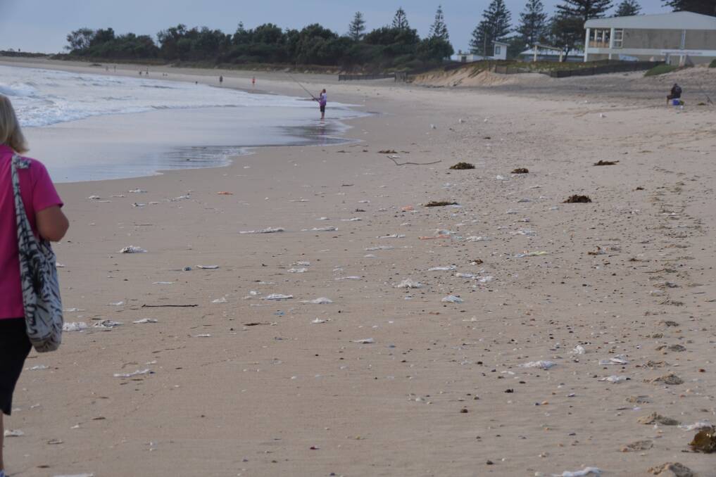 POLLUTION: Residents spent hours on Tuesday morning cleaning up plastic and other rubbish littered along Stockton beach from the exposed former garbage dump on Hunter Water and Crown land at north Stockton. Picture: Matt Power