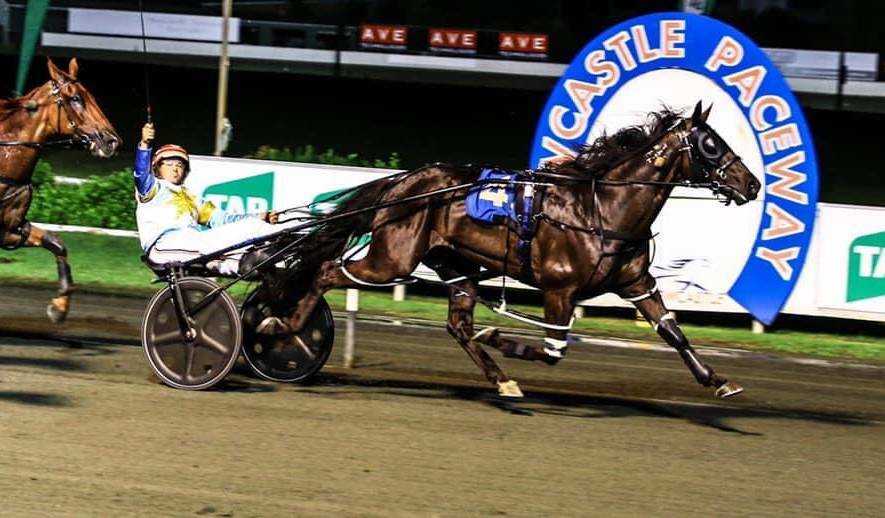 NEXT STEP: The Black Prince wins this year's Newcastle Mile. Picture: HRNSW