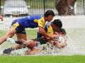 Seagulls and Rosellas finished 12-all at a water-logged Cahill Oval on Saturday. Picture by Peter Lorimer