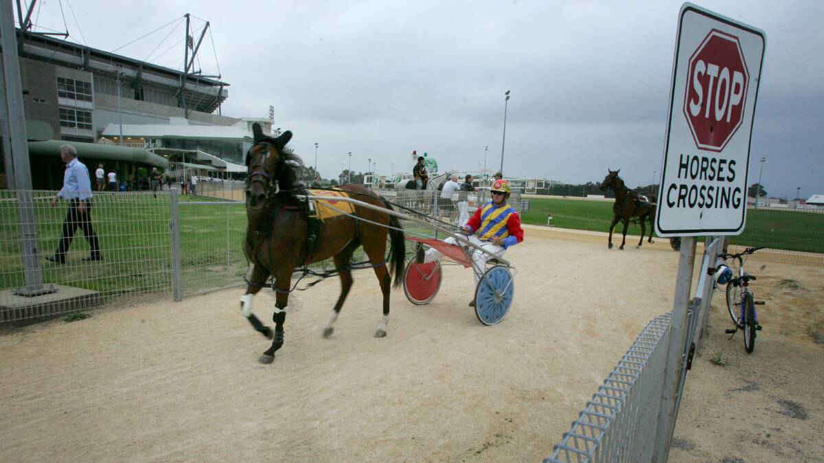 CHANGE: Harness racing could be coming to an end at the current Newcastle track. Picture: Dean Osland