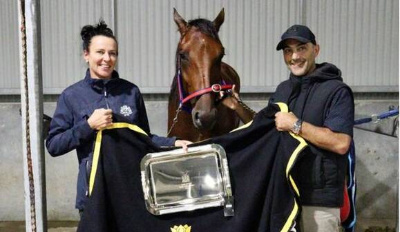 SUCCESS: Skyfall Benchmark after winning the Gold Crown consolation final on Saturday night. Picture: Bathurst Harness Racing Club