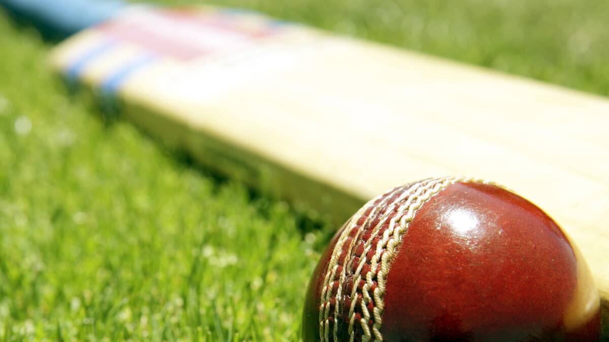 Sudden deaths 'shatter' Dora Creek and Bonnells Bay cricket clubs