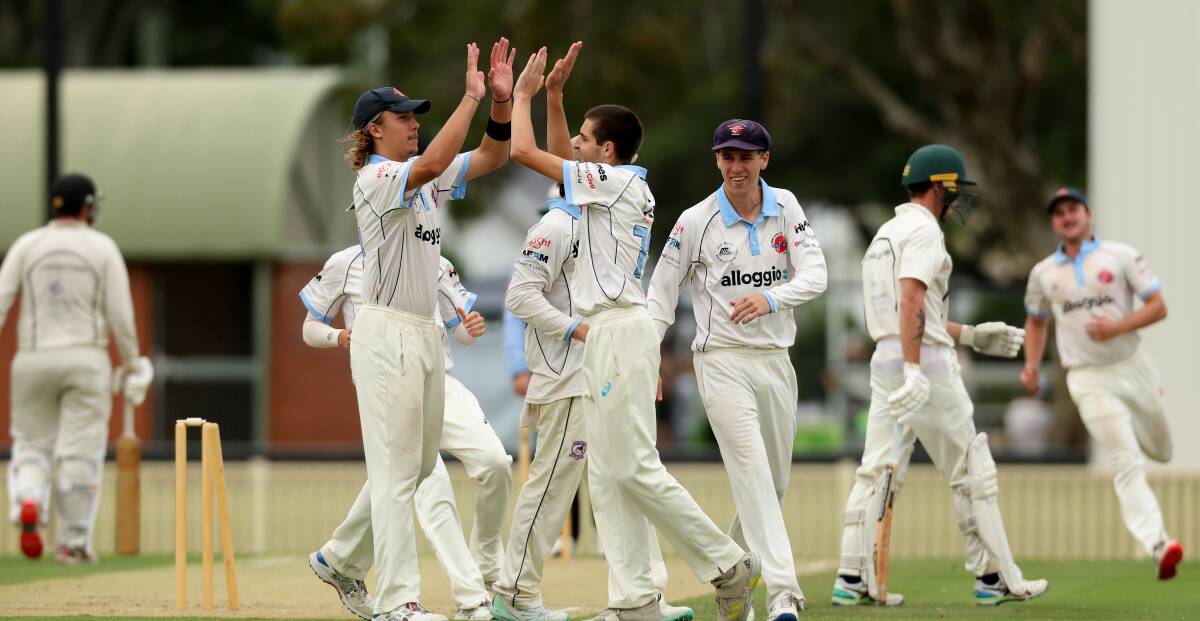 City celebrates an early wicket at No.1 Sportsground on Saturday. Picture by Peter Lorimer