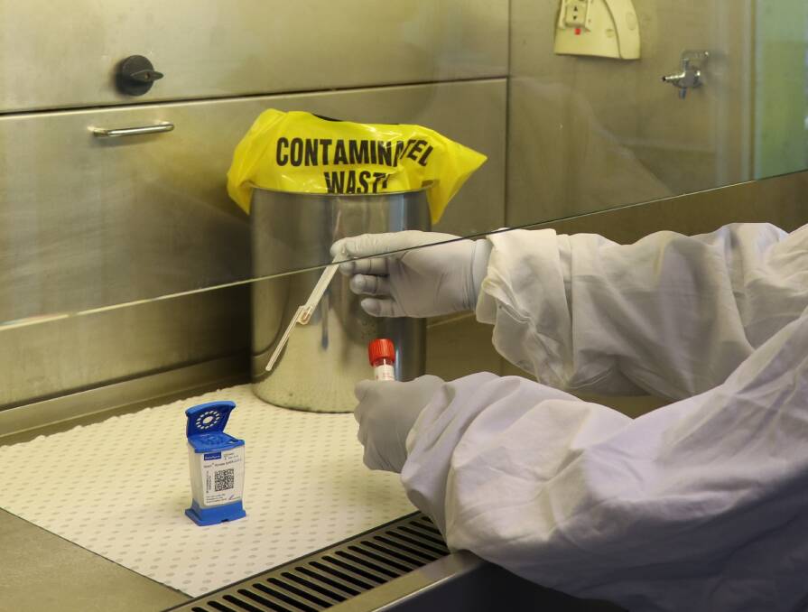 A NSW Health Pathology staff member working with sample being tested for coronavirus. Photo: Supplied