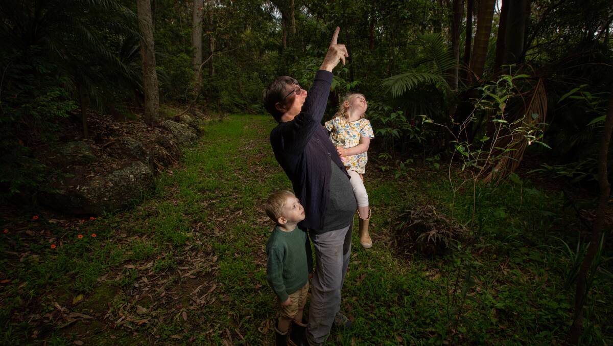 Maya Guest with her grandson Patrick, 4, and granddaughter Ellie, 2, spotting birds on her property in Lake Macquarie. Picture supplied.