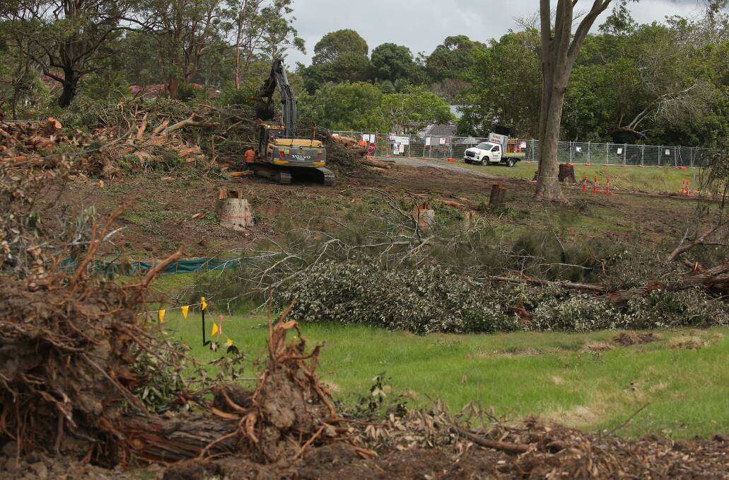 More than 50ha of vegetation will be cleared for the bypass. Picture by Simone De Peak.