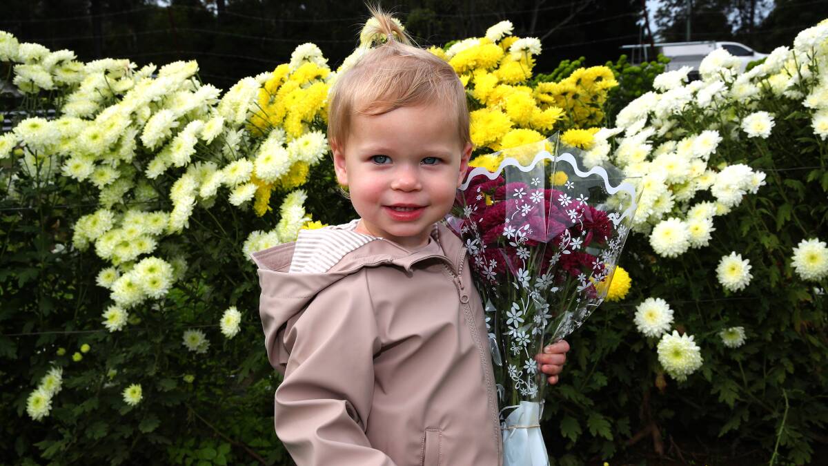Gigi Moss-Burgess, 2, picked out some flowers for her mum, Shaye. Picture by Peter Lorimer 