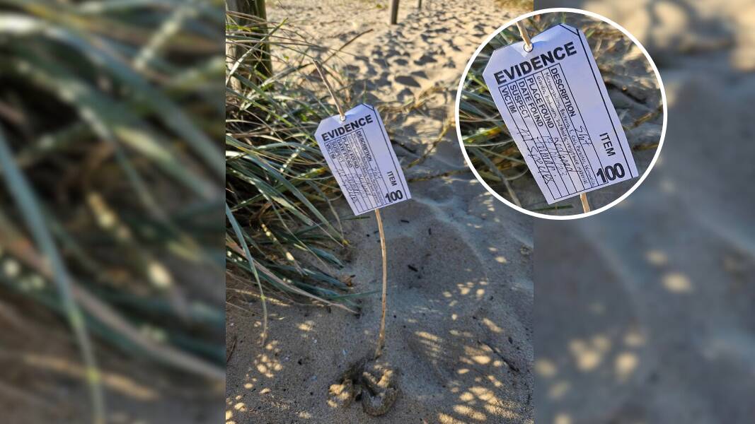 Evidence tags were left on numerous dog poos across Redhead Beach. Picture supplied 