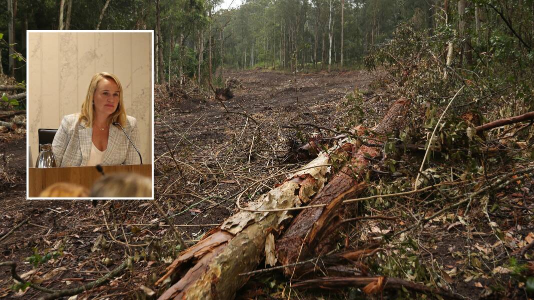 Newcastle lord mayor Nuatali Nelmes (inset) is against the approval of Minmi Estate. Picture by Simone De Peak