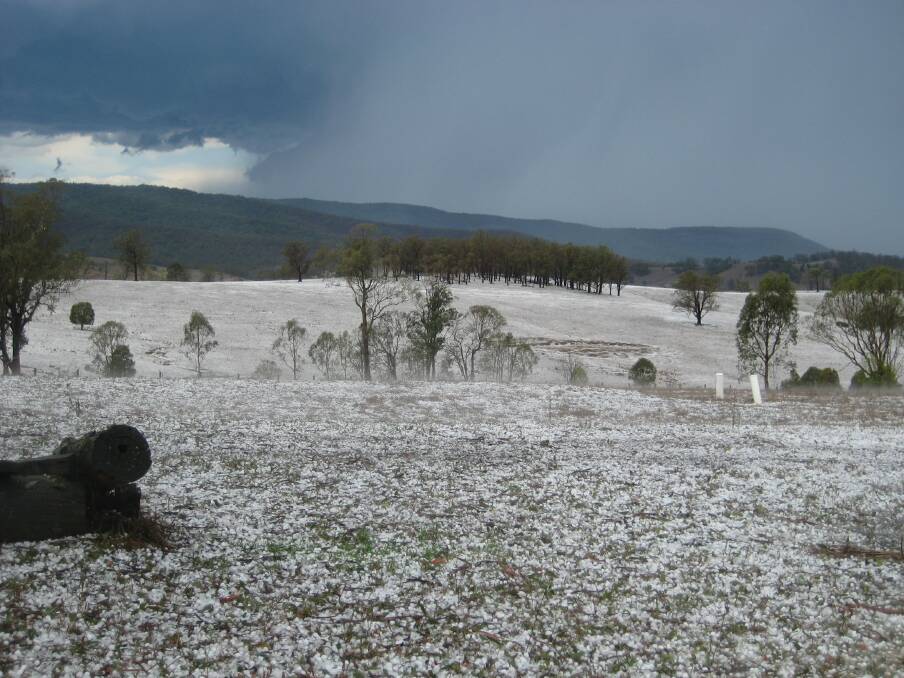 BLOW: A hailstorm at Bandon Grove on the Australia Day long weekend "stripped what pasture we had and took all the foliage off our livestock shade trees". Picture: Suzanne Landers