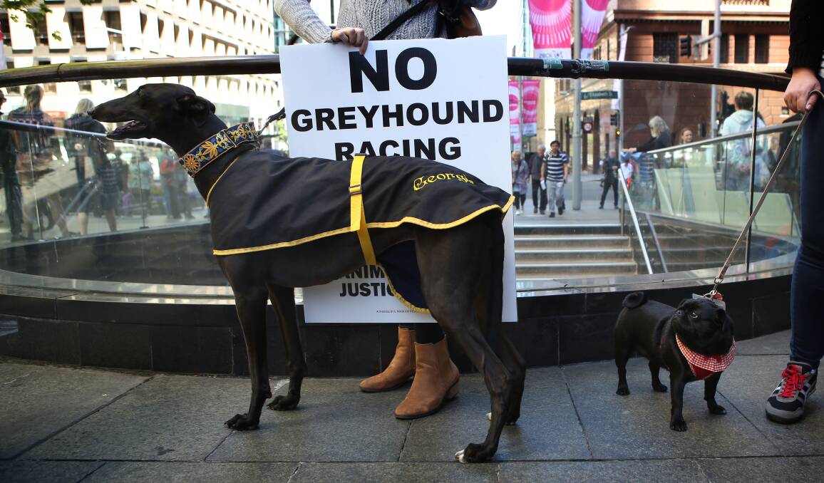 THEN AND NOW: A 2016 protest after the Baird government backflipped on its greyhound racing ban. Reader Greg Harborne says the industry has changed. 