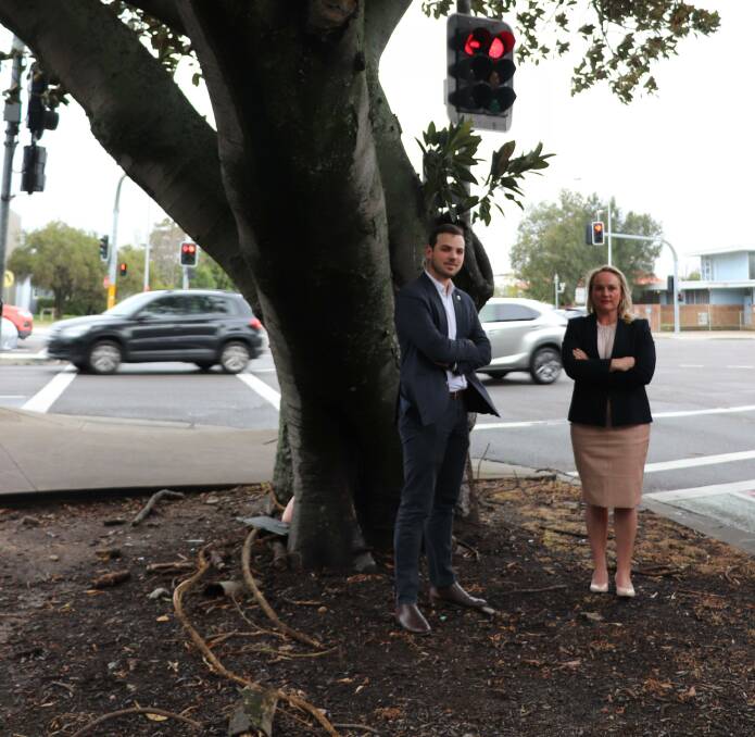 Birdwood fig fight can't the brakes on major road upgrades we need