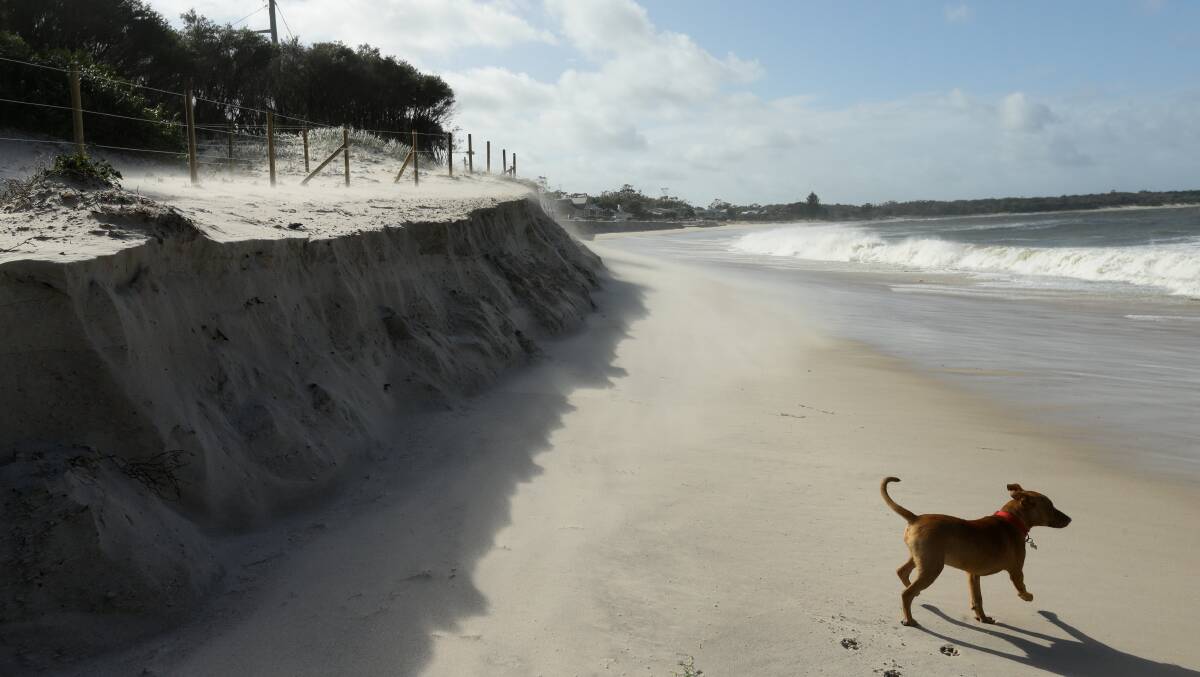Public cost demands Stockton, Jimmys beach erosion fixes that pay off