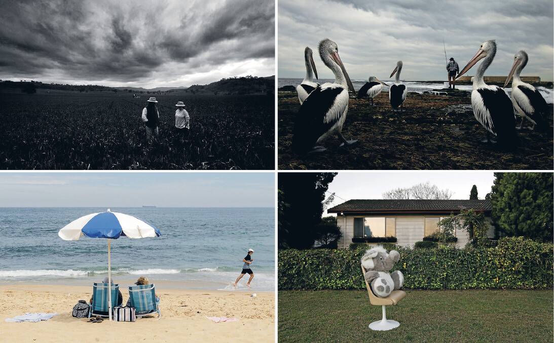 IMAGINATION: Pictures by (clockwise from top left) Jonathan Carroll, Marina Neil, Max Mason-Hubers and Simone De Peak. Which one will spark your inspiration?