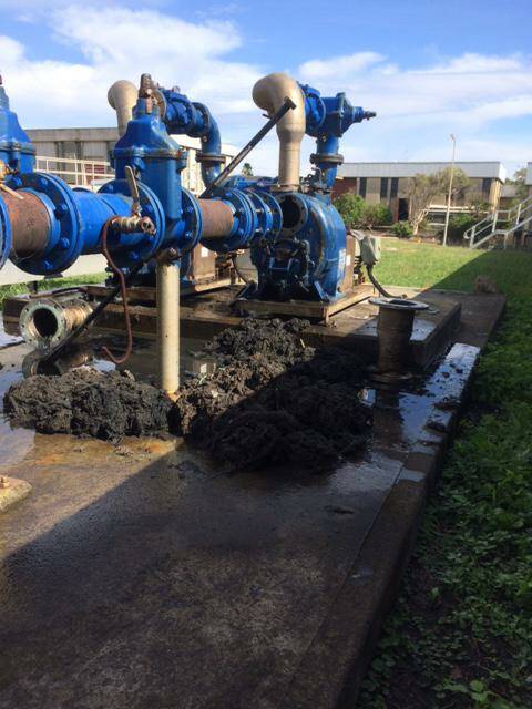 NEW KID ON THE BLOCK: A recent blockage at Belmont waste water treatment works. Picture: Hunter Water