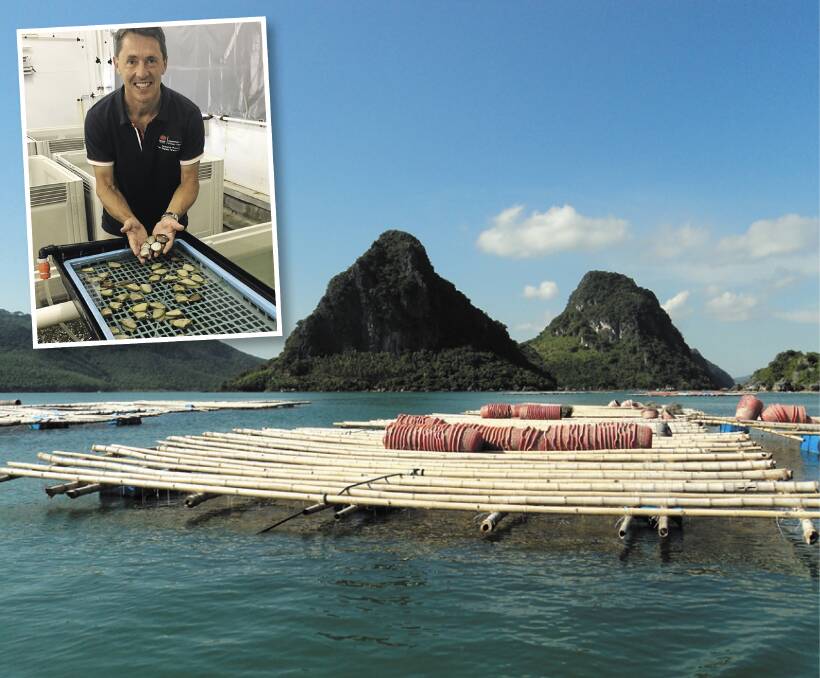 STRONG GROWTH: Oyster rafts in Ha Long Bay in northern Vietnam. Port Stephens scientist Dr Wayne O'Connor helped develop the industry's sustainable supply of juvenile oysters, also known as seed. 