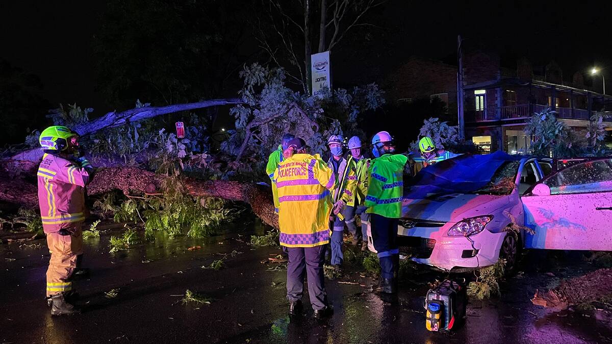 SINGLETON: Crews had to cut back the tree in order to free a woman trapped in her car on Monday evening. Picture: Fire and Rescue NSW