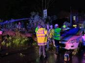 SINGLETON: Crews had to cut back the tree in order to free a woman trapped in her car on Monday evening. Picture: Fire and Rescue NSW