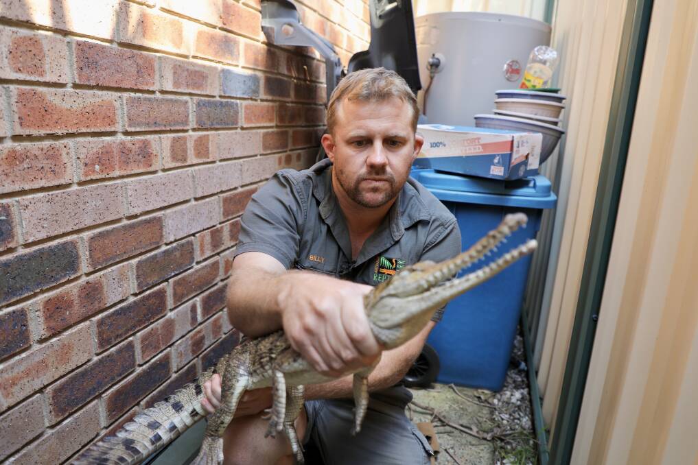 Keeper Billy Collett with the creature. Pictures supplied by Australian Reptile Park