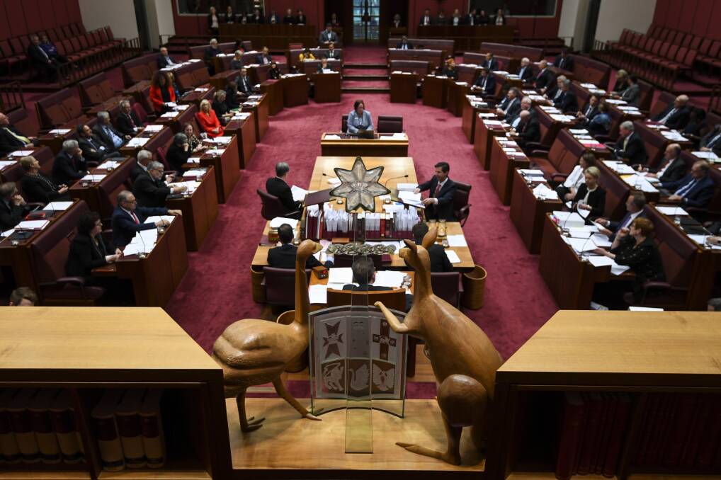 SITTING PRETTY: The Emu and the Kangaroo of the Australian Coat of Arms look down on the Senate chamber during Question Time at Parliament House in Canberra. 