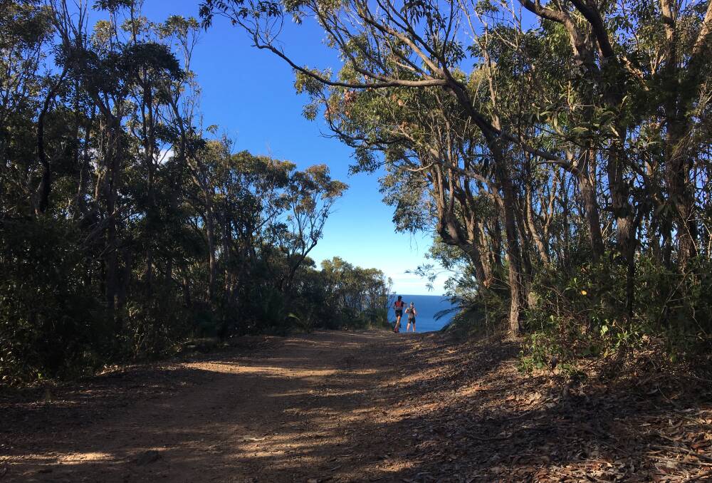 SCENIC: The benefit of trail running is not just a lower impact exercise for the body, there are many beautiful courses and tracks in our region. 