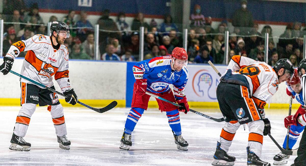 Newcastle captain Liam Manwarring was among the scorers as the Northstars beat Melbourne Mustangs at Hunter Ice Skating Stadium on Saturday night. Picture: AK Hockey Shots