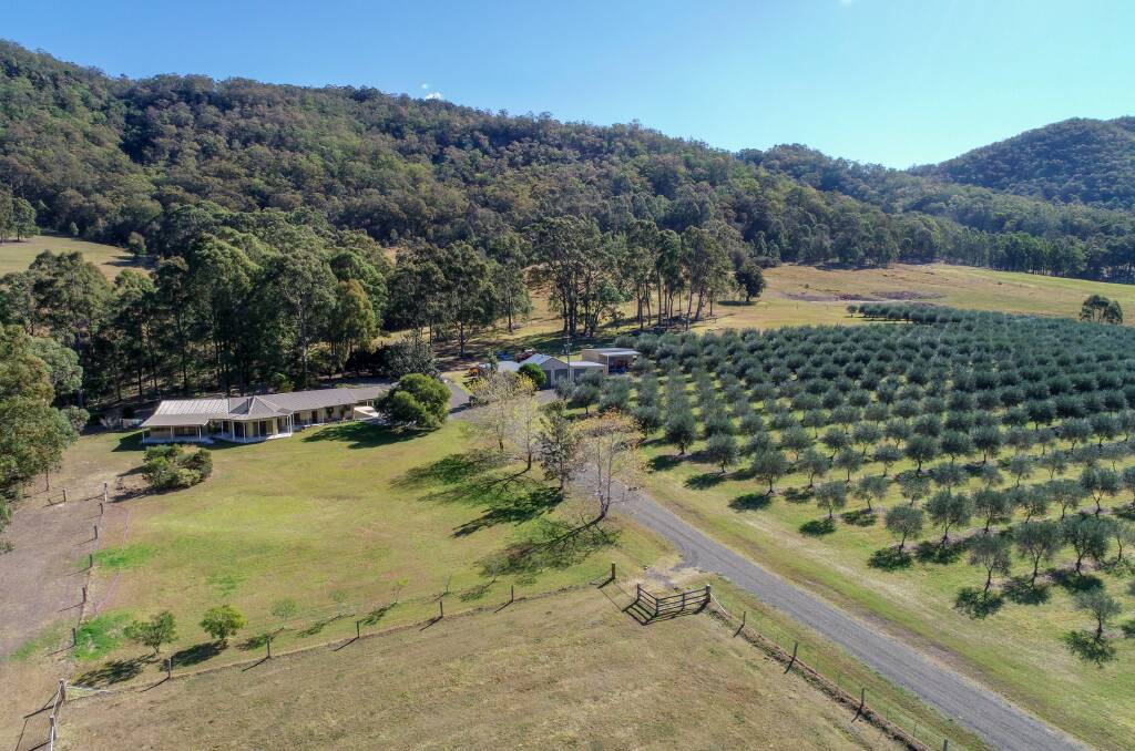 This 100-acre property in Lambs Valley comes with its own olive grove.