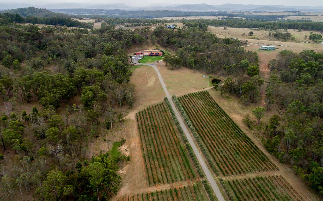 Offers are expected around $3 million for a 100-acre Rothbury property which has an established vineyard, restaurant and cellar door.