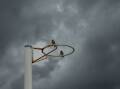 Gloomy weather is making for a frustrating start to the Newcastle netball season. Picture: Marina Neil