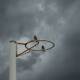 Gloomy weather is making for a frustrating start to the Newcastle netball season. Picture: Marina Neil
