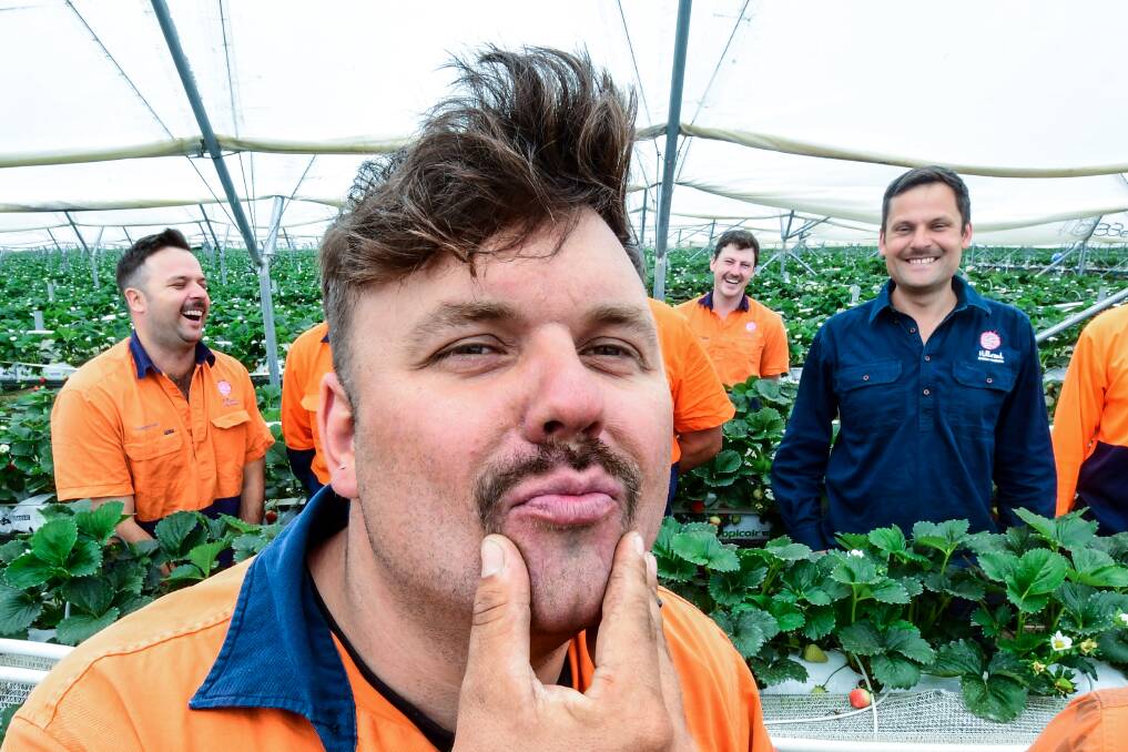 A berry good cause: The Hillwood Berries Movember team get behind men's mental health during November. Picture: Neil Richardson