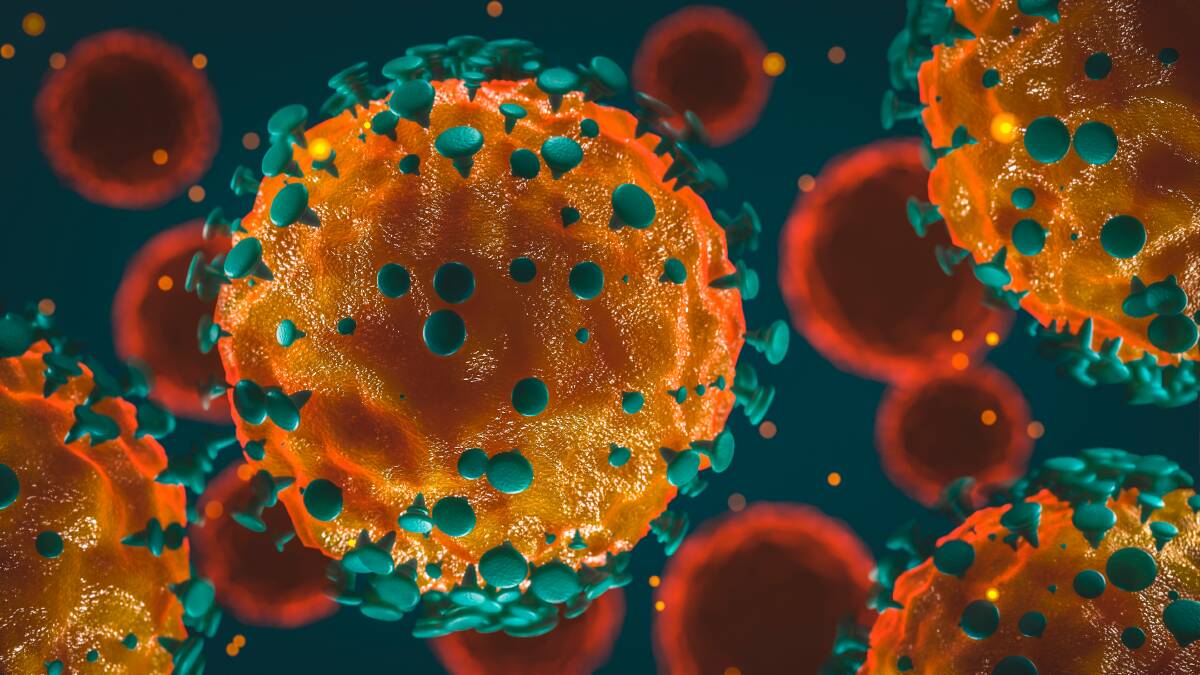 WAITING GAME: NSW was waiting to see how Adelaide coronavirus outbreak numbers track before making decisions about their borders. Picture: Shutterstock