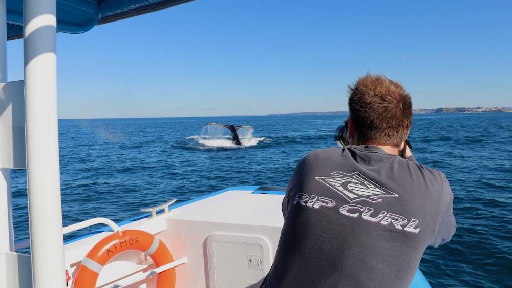UP CLOSE: A man takes a photo of a whale on a CoastXP tour. Picture: Supplied