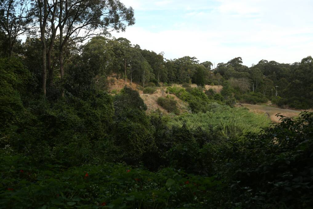 PROPOSAL: The land off Peatties Road where Transport for NSW wants to establish a works depot to serve the Inner City Bypass' construction. Picture: Simone De Peak