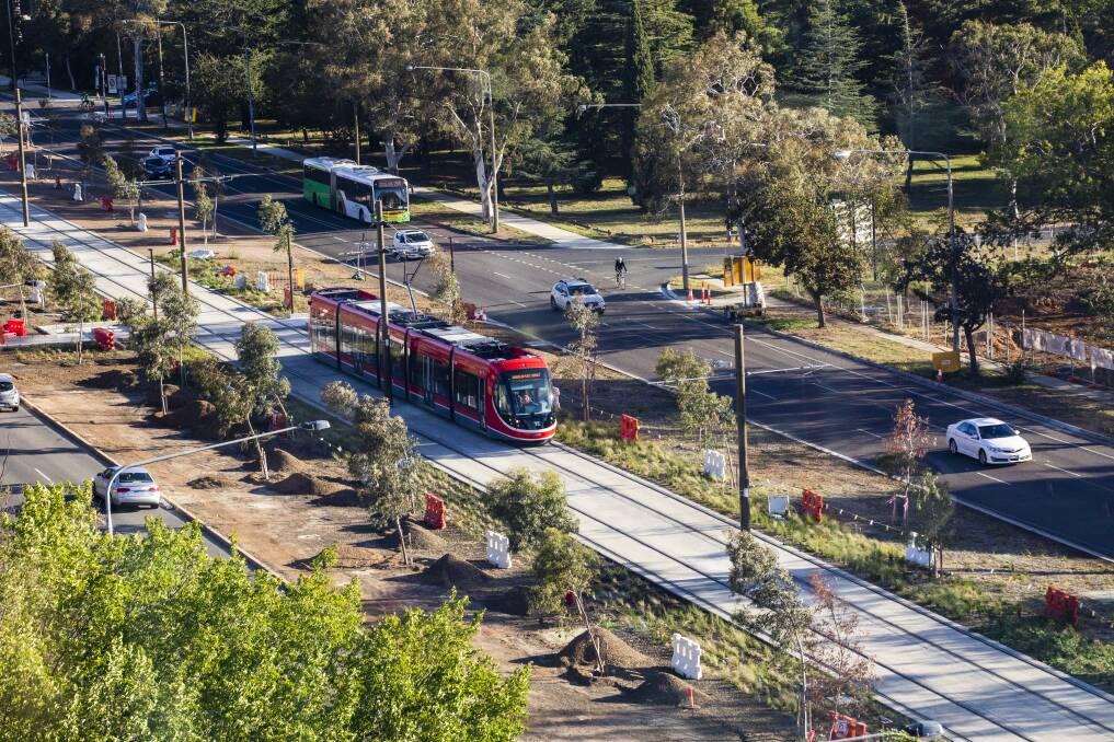 POPULAR: A tram travels along Northbourne Avenue in Canberra, where light rail was free for a month. Picture: Jamila Toderas