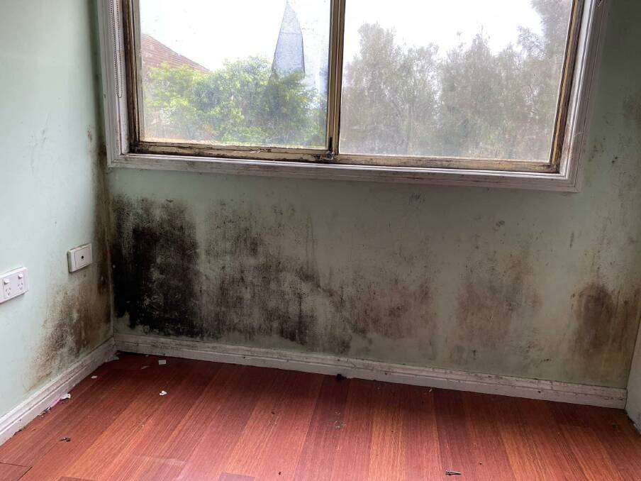 HAZARD: Mould growing on the walls of a bedroom in the hosue damaged by leaks. 
