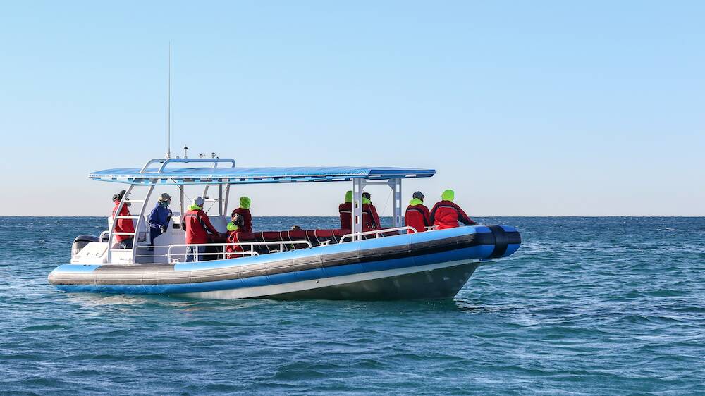 SOCIAL DISTANCING: A CoastXP boat whale-watching tour. Picture: Supplied