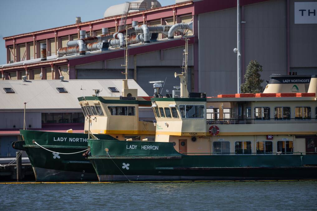 AUSTRALIAN MADE: The lady class ferries at Carrington. Picture: Marina Neil